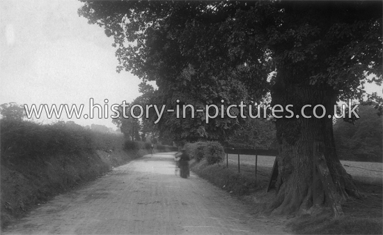 A Country Lane, Chigwell, Essex. c.1920's